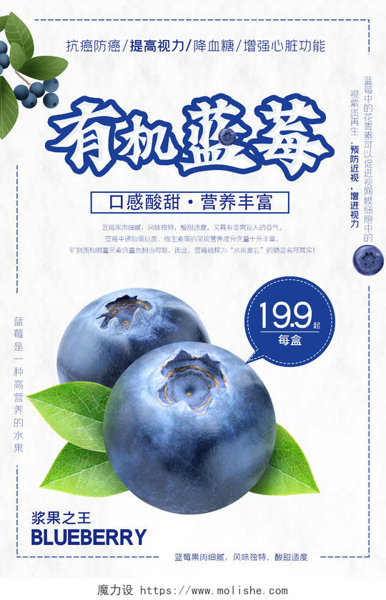 浅色大气水果有机蓝莓海报